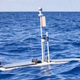 Illustration for article titled This Surfing Robot Lets You Track Great White Sharks With Your iPhone